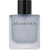 Парфюмерная вода Dilis Parfum Atlantica Silver Moon 100мл