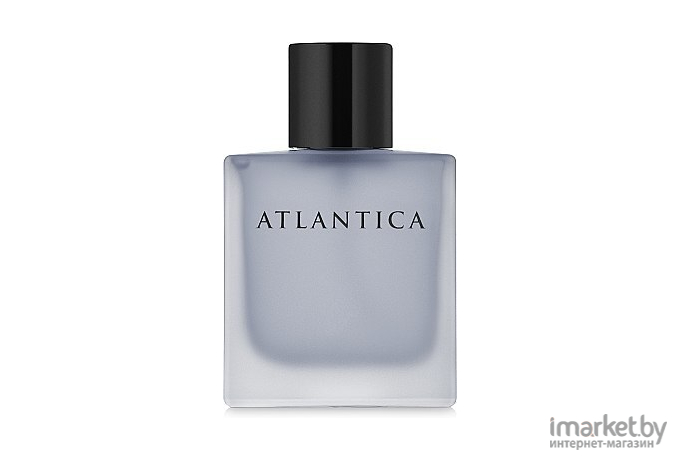 Парфюмерная вода Dilis Parfum Atlantica Silver Moon 100мл