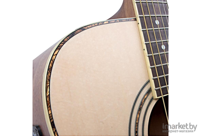 Акустическая гитара Cort AD 880
