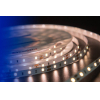 Светодиодная лента DesignLed Лента светодиодная LUX, 2835, 60 LED/м, 7,2 Вт/м, 12В, IP33, Теплый белый (3000K) [DSG260-12-WW-33]