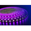 Светодиодная лента DesignLed Лента светодиодная LUX, 5050, 60 LED/м, 14,4 Вт/м, 12В, IP33, RGB (K) [DSG560-12-RGB-33]