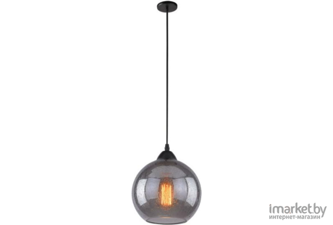 Потолочный подвесной светильник Arte Lamp A4285SP-1SM