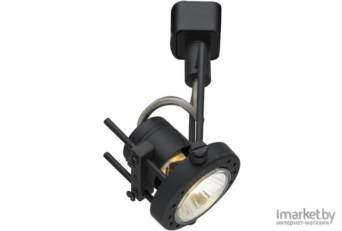 Спот Arte Lamp A4300PL-1BK