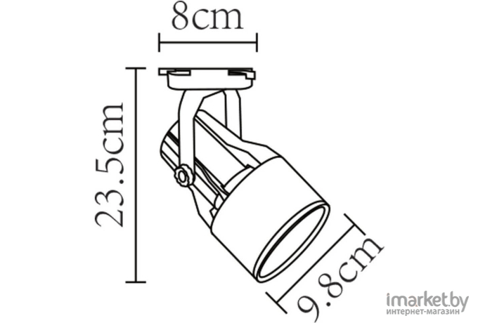 Светильник на шине Arte Lamp A6252PL-1BK