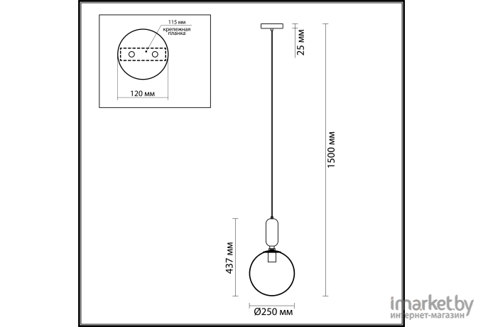 Потолочный светильник Odeon Light Okia 4672/1