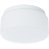 Потолочный светильник Arte Lamp A7720PL-1WH