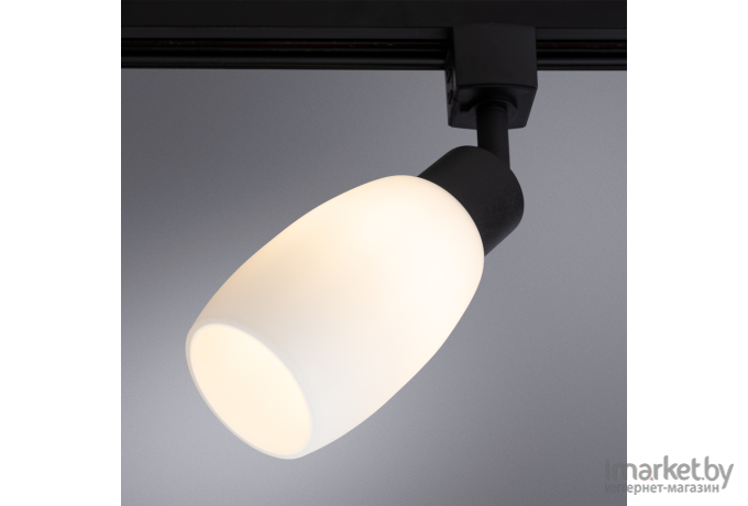 Трековый светильник Arte Lamp A3055PL-1BK