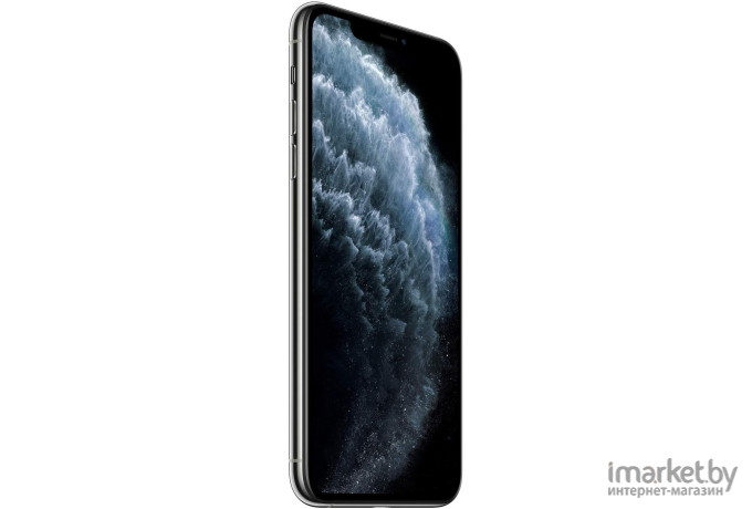 Мобильный телефон Apple iPhone 11 Pro Max 64GB Silver [MWHF2]