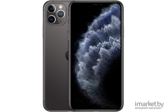 Мобильный телефон Apple iPhone 11 Pro Max 256GB Space Grey [MWHJ2]