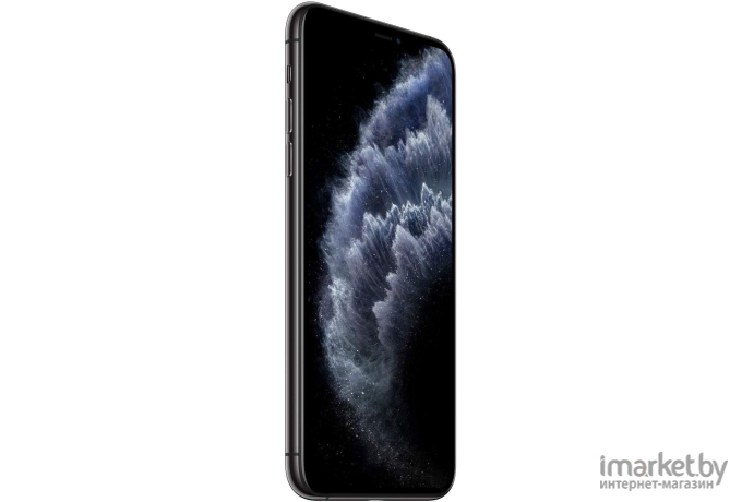 Мобильный телефон Apple iPhone 11 Pro Max 256GB Space Grey [MWHJ2]