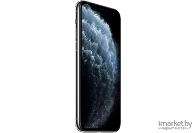 Мобильный телефон Apple iPhone 11 Pro 64GB Silver [MWC32]