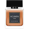 Парфюмерная вода Dilis Parfum Acumen Noir for Men 100мл