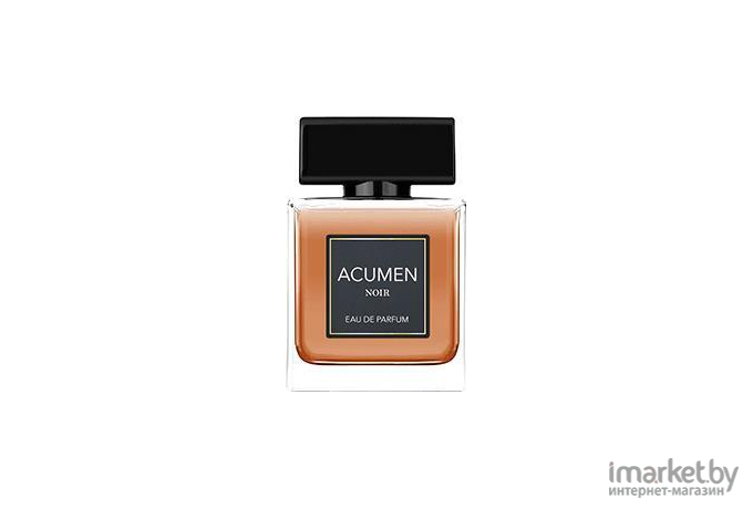 Парфюмерная вода Dilis Parfum Acumen Noir for Men 100мл