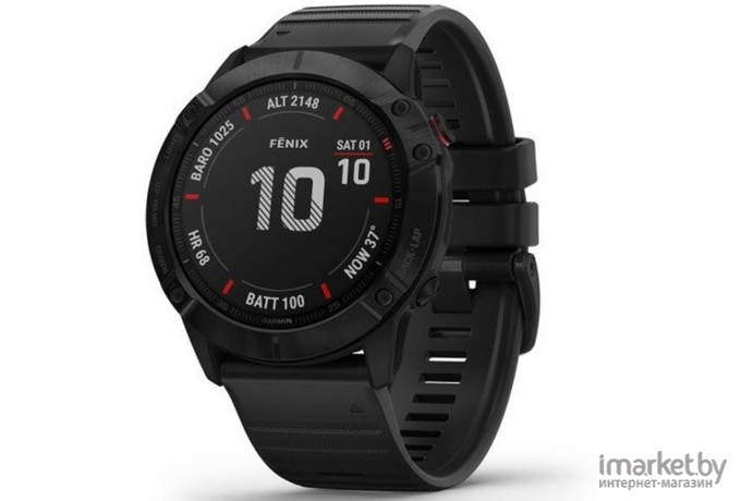 Умные часы Garmin Fenix 6X Pro черный [010-02157-01]