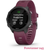 Умные часы Garmin Forerunner 245 черный/бордовый [010-02120-11]