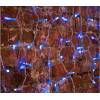 Новогодняя гирлянда Neon-night Дождь 2x0.8m 160 LED Blue [235-103]