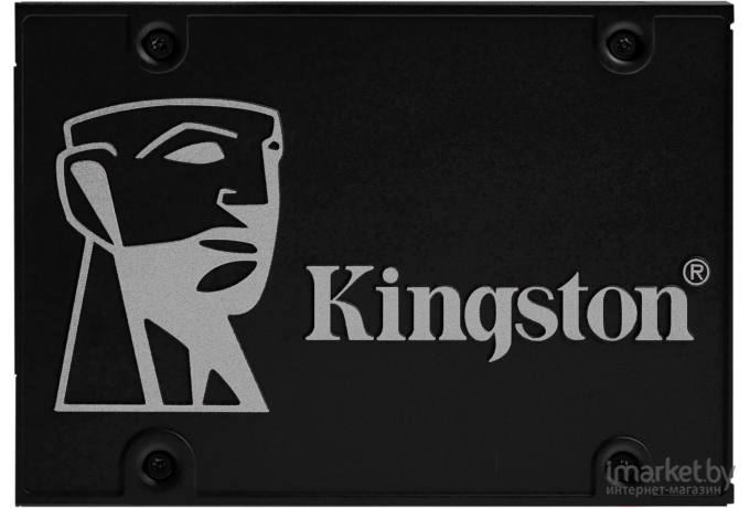 SSD диск Kingston 256G KC600 SATA3 [SKC600/256G]