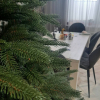 Новогодняя елка Maxy Poland Рождественская литая 1.5 м