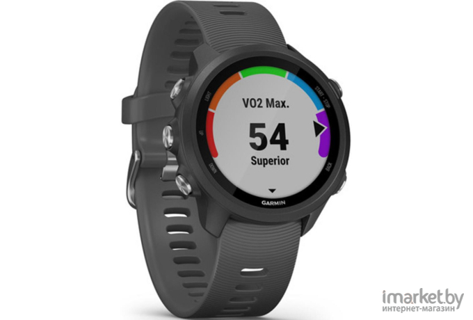 Умные часы Garmin Forerunner 245 черный/стальной [010-02120-10]