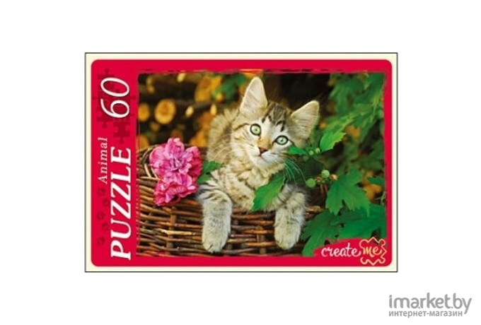 Пазл Рыжий кот Кот в корзине [У60-5914]