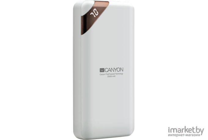 Портативное зарядное устройство Canyon Power bank 20000mAh White [CNE-CPBP20W]