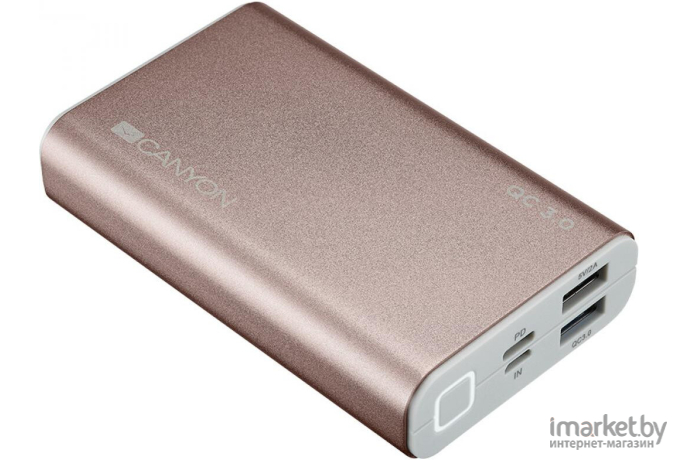 Портативное зарядное устройство Canyon Power bank 10000mAh White [CNE-CPB010W]