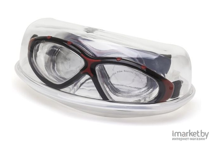 Очки для плавания Atemi Z402 черный/красный