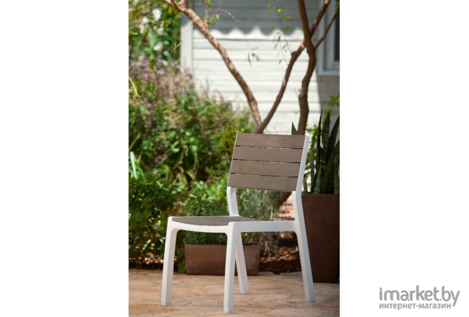 Садовый стул Keter Harmony без подлокотников белый/капучино [230685]
