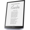 Электронная книга PocketBook 1004 InkPad X Metallic Grey [PB1040-J-CIS]