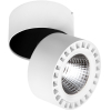 Накладной уличный светильник Lightstar Forte IP65 LED 35W 3500LM 30G белый [381363]