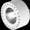 Накладной уличный светильник Lightstar Forte IP65 LED 35W 3500LM 30G белый [381363]