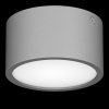 Накладной уличный светильник Lightstar Zolla CYL LED-RD 8W 640LM серый [380193]
