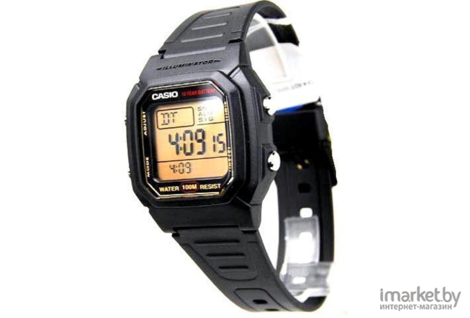 Наручные часы Casio W-800HG-9A