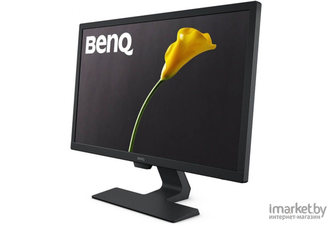 Монитор BenQ GL2480E