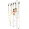 Спортивный комплекс Kampfer Wooden Ladder Ceiling Basketball Shield №6 стандарт жемчужный