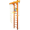 Детский спортивный комплекс Kampfer Wooden Ladder Ceiling Basketball Shield №3 классический стандарт