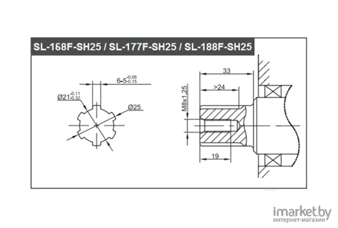 Двигатель для садовой техники Asilak SL-168F-SH25