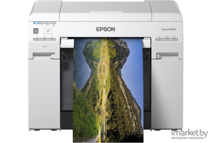 Принтер и МФУ Epson SureLab SL-D800