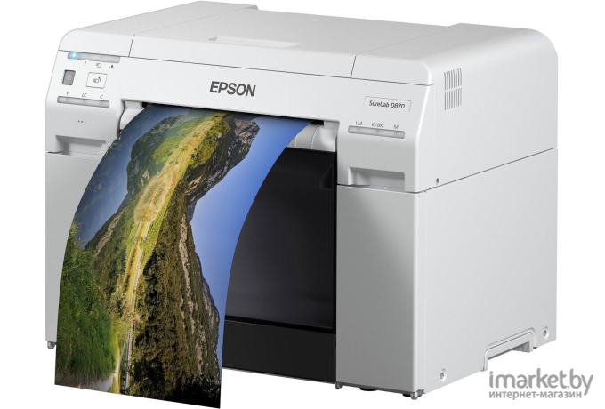 Принтер и МФУ Epson SureLab SL-D800