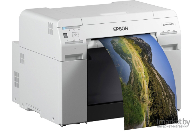 Принтер и МФУ Epson SureLab SL-D800