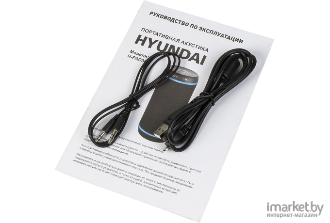 Беспроводная и портативная колонки Hyundai H-PAC380 черный