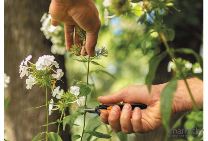 Кусторез, высоторез и садовые ножницы Fiskars SP14