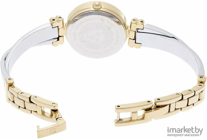 Наручные часы Anne Klein AK/1171MPTT