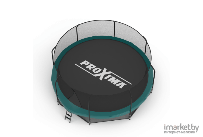 Батут Proxima Premium 14 ft- 427 см с защитной сеткой и лестницей