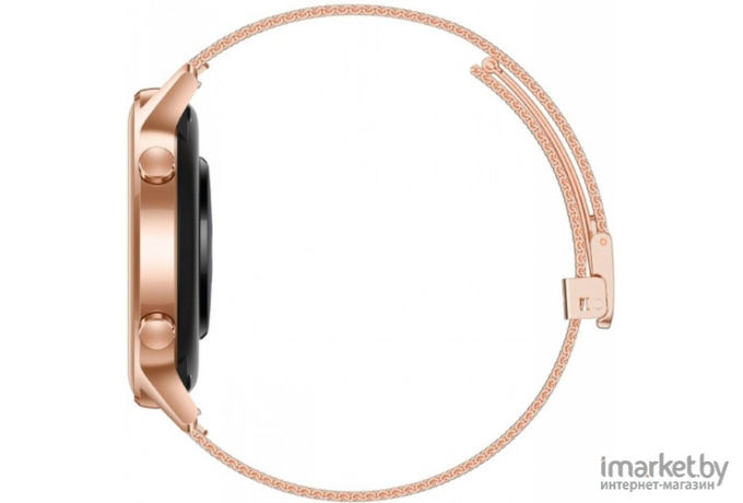 Умные часы Honor MagicWatch 2 HBE-B19 Sakura Gold