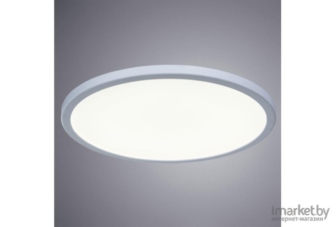 Накладной светильник Arte Lamp A7976PL-1WH