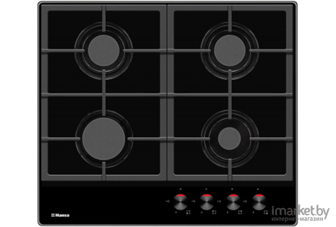 Варочная панель Hansa BHKS610505