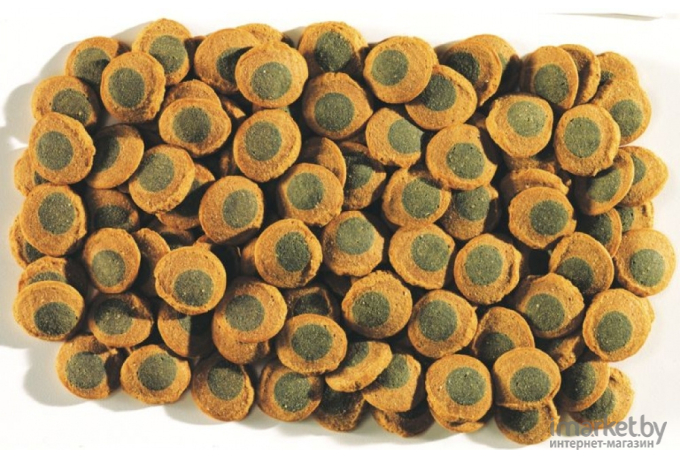 Корм для рыб Tetra Pleco Spirulina Wafers 15g [281899/710639]