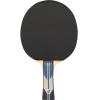 Ракетка для настольного тенниса TORNEO TI-B3000