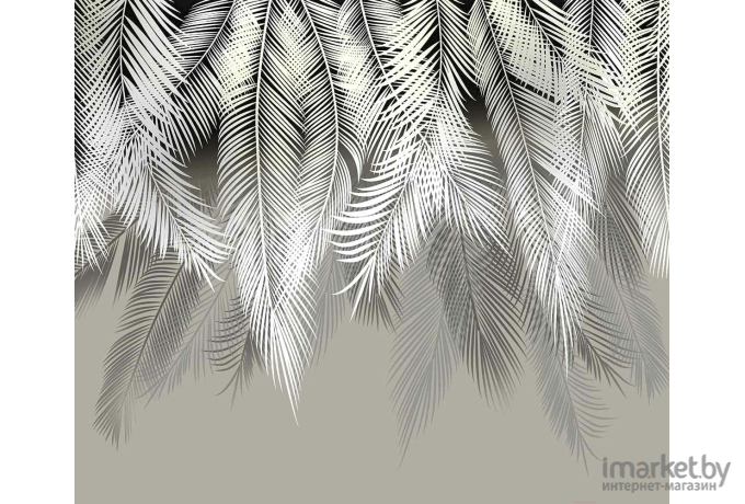 Фотообои Citydecor Пальмовые листья (300x254)